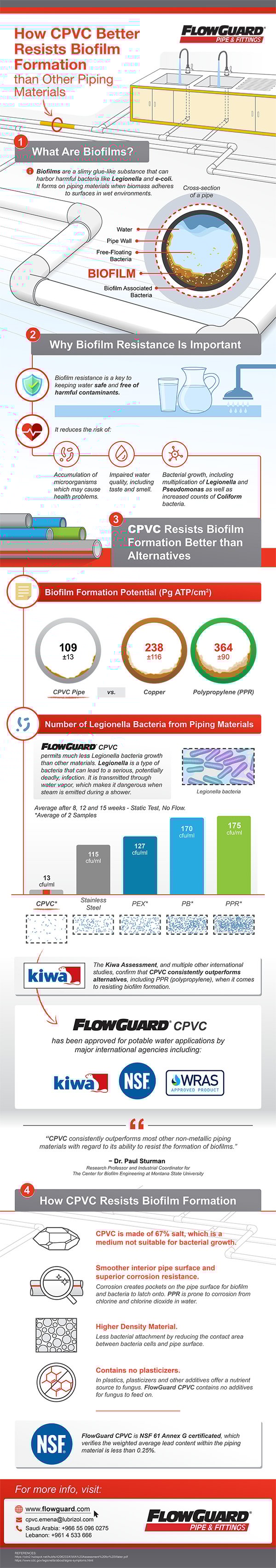 Biofilm Formation Infographic