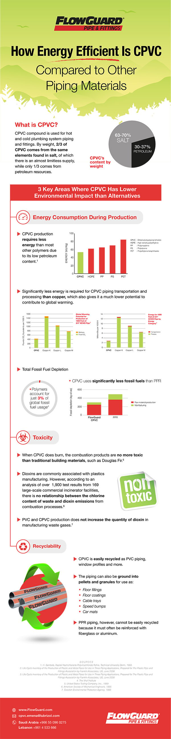 Environmental Impact Infographic