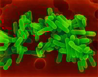 CPVC resiste à formação de Legionella
