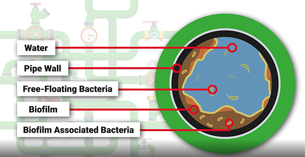 diagram of water pipe hazards & corrosion