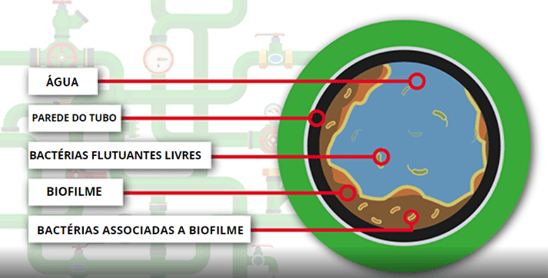 Formação de bactérias nas tubulações